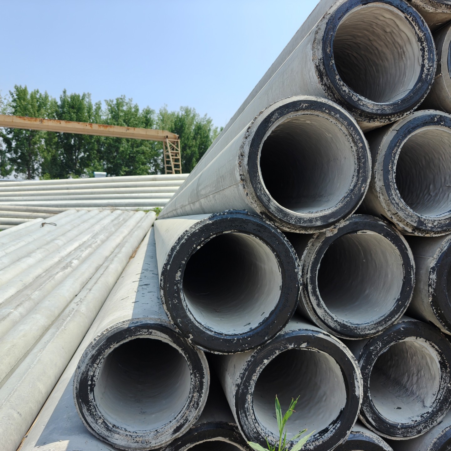 泉山10米预应力水泥电杆